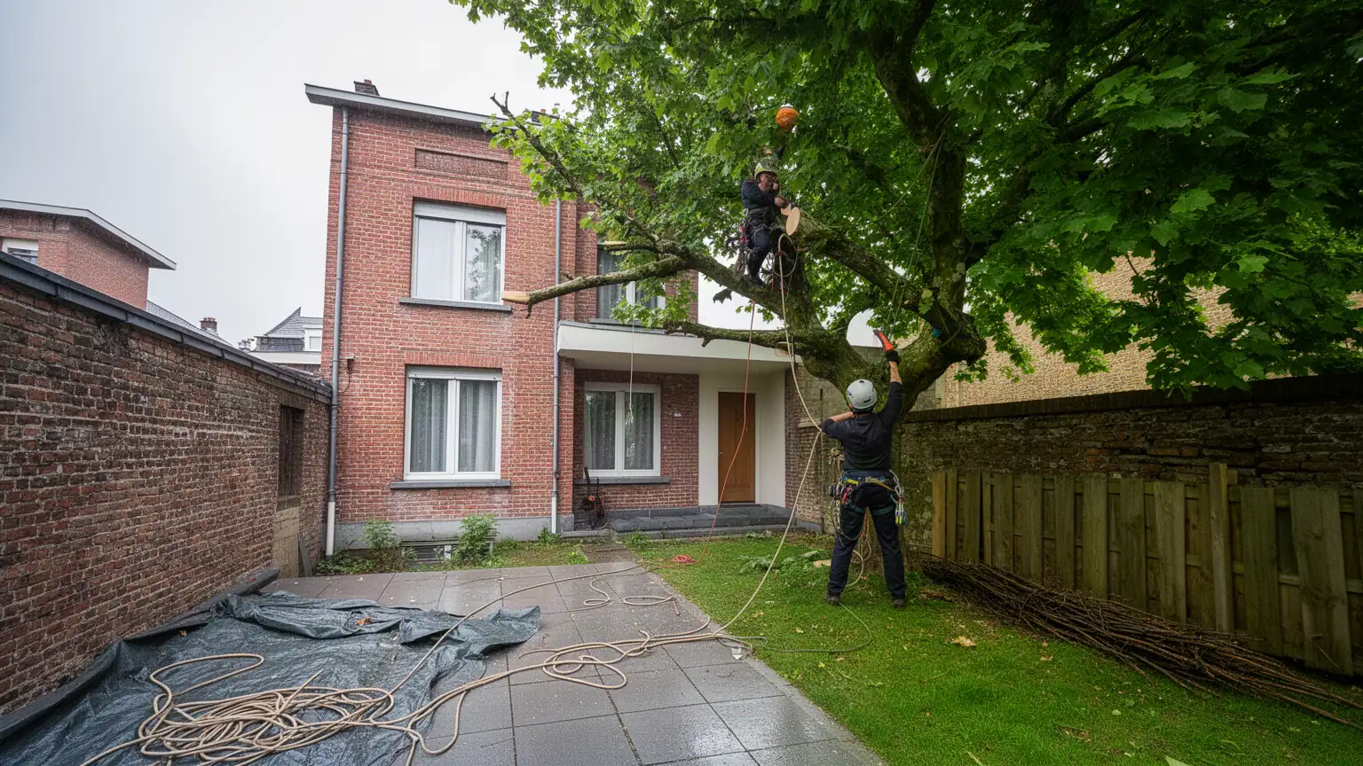 Élagage et Abattage d'arbres à Lille : Votre Arboriste Grimpeur Expert