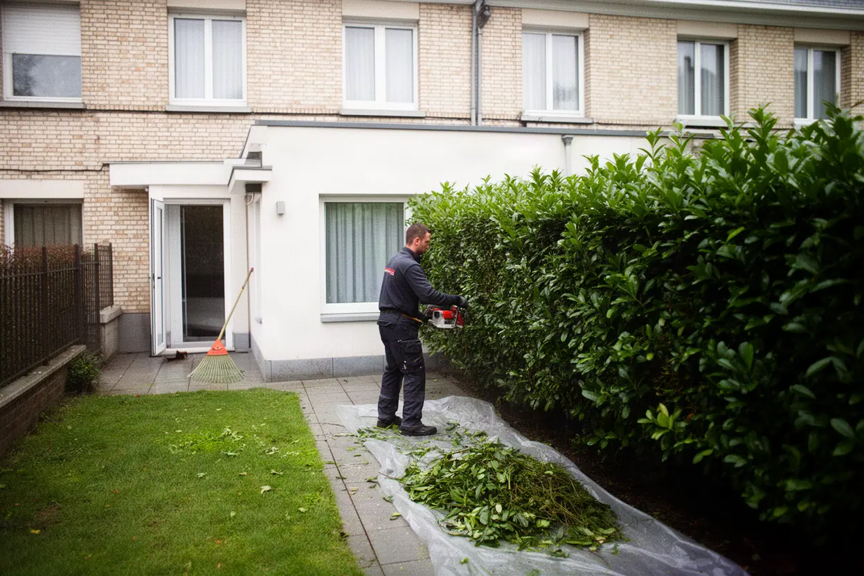 Taille d'une haie mitoyenne devant une maison à Loos
